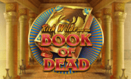 Play Book of Dead Slot