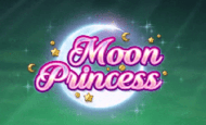 Play Moon Princess Slot